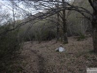 2026-04-18 Velino da S. Maria in Valle 028